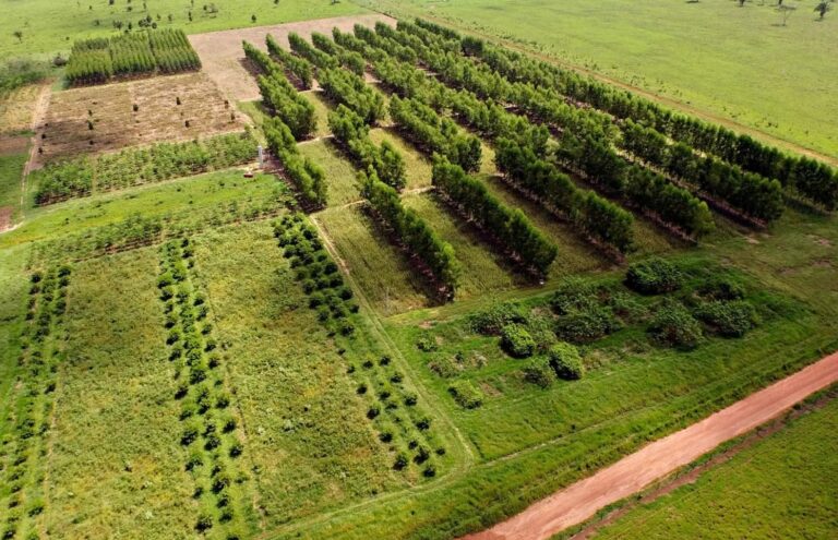 Agroambiental ganha força no Brasil